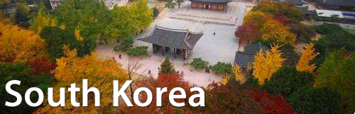 south korean Banner
